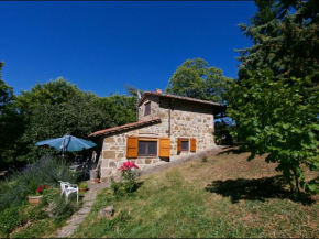 Typical little Italian property in the middle of fruit trees Seggiano